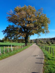 Rue de la Fontaine à Courlans