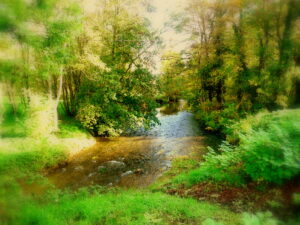 La Vallière un matin d'automne